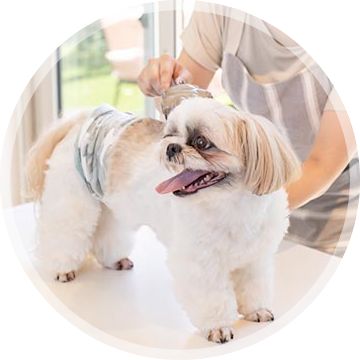 トリミングの対応イメージ